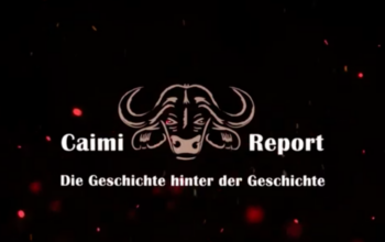 Caimi Report