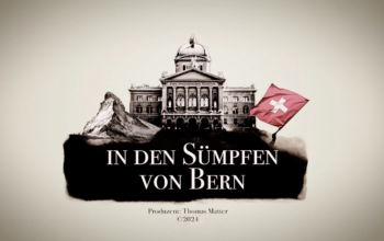 In den Sümpfen von Bern