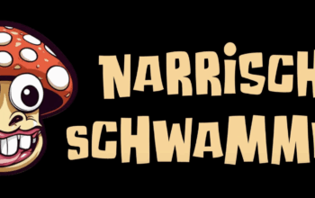 Narrische Schwammerl